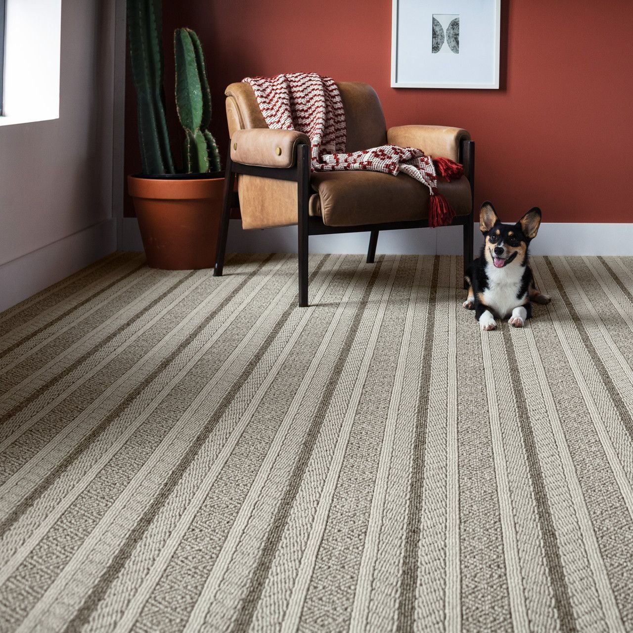 dog and chair on a carpet - bobbiejoes